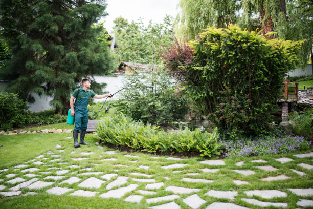 Professional Pest Control in Montour Falls, NY