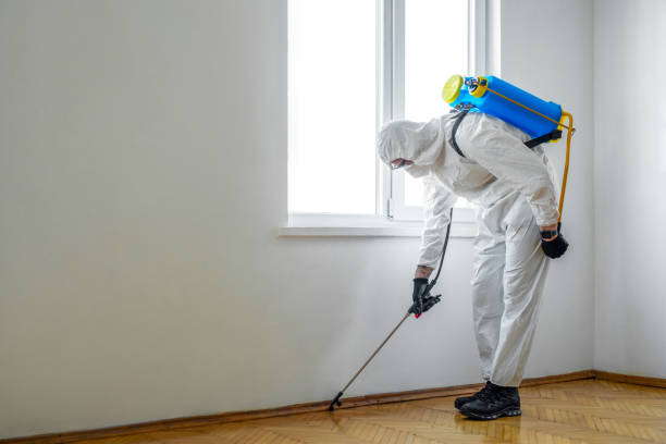 Best Mosquito Control Services  in Montour Falls, NY