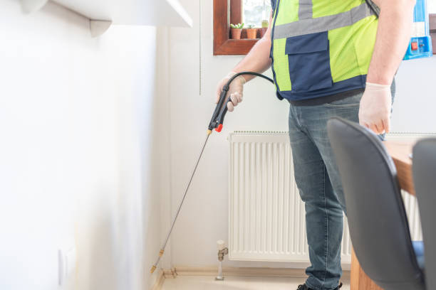 Best Pest Control Near Me in Montour Falls, NY